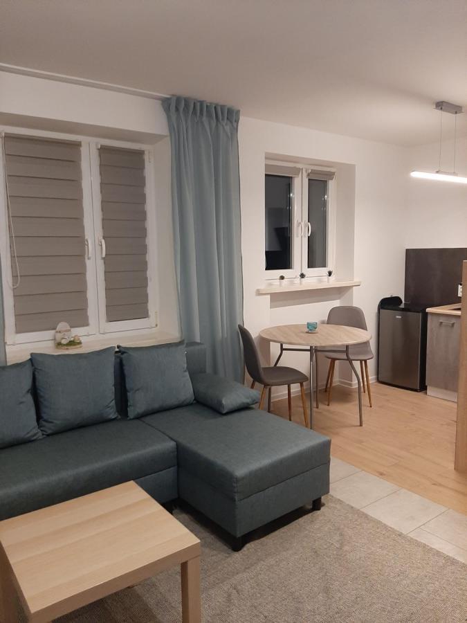 Apartament Zamkowy مالبورك المظهر الخارجي الصورة